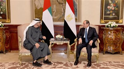 حروب غزة ولبنان والسودان تتصدر المباحثات المصرية الإماراتية بالقاهرة