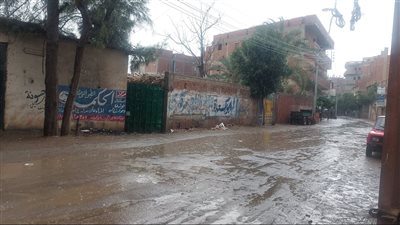 سقوط أمطار غزيرة على القليوبية، والمحافظة ترفع الطوارئ (صور) 