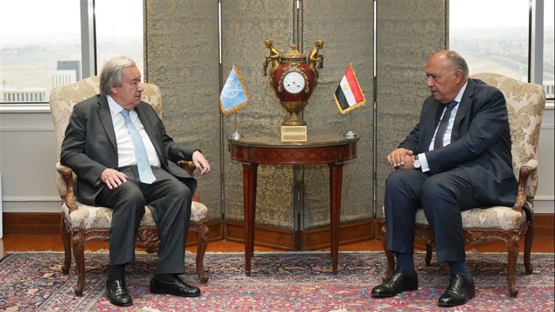 سامح شكرى وزير الخارجية