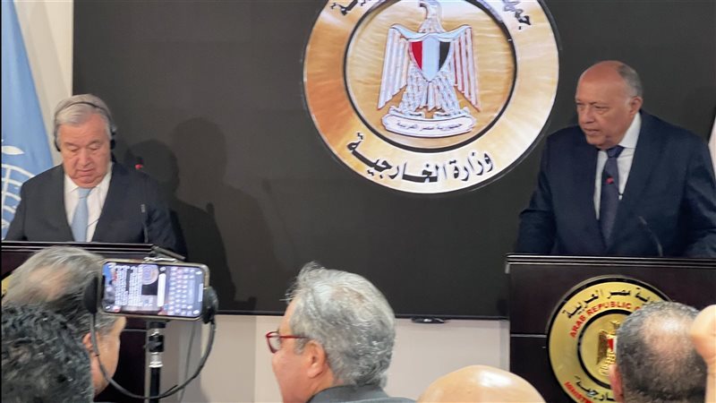سامح شكرى وزير الخارجية