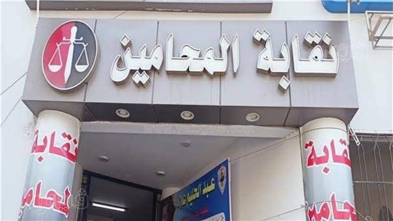 انتخابات المحامين،