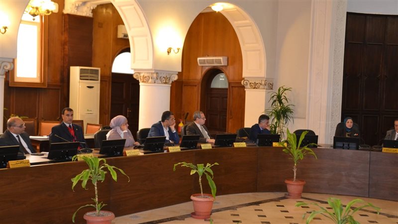 جامعة الإسكندرية،
