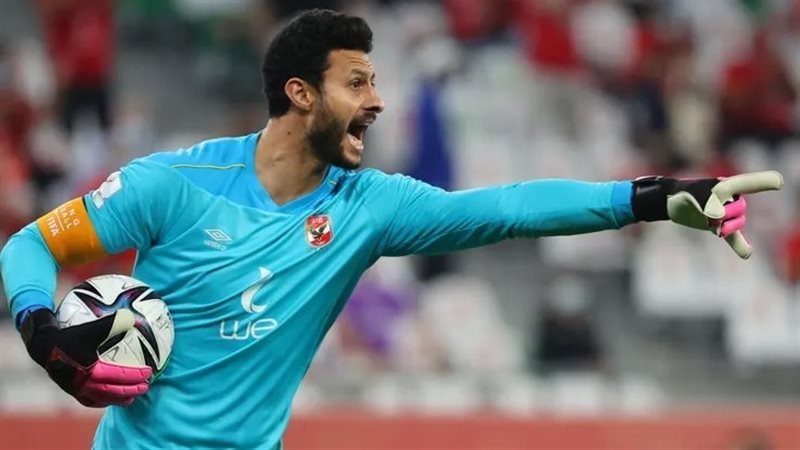 محمد الشناوي، فيتو