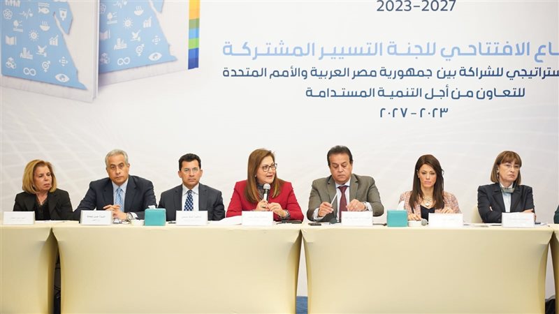 حسن شحاتة وزير العمل،فيتو