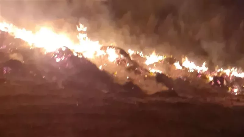 حريق القصاصين بالإسماعيلية،