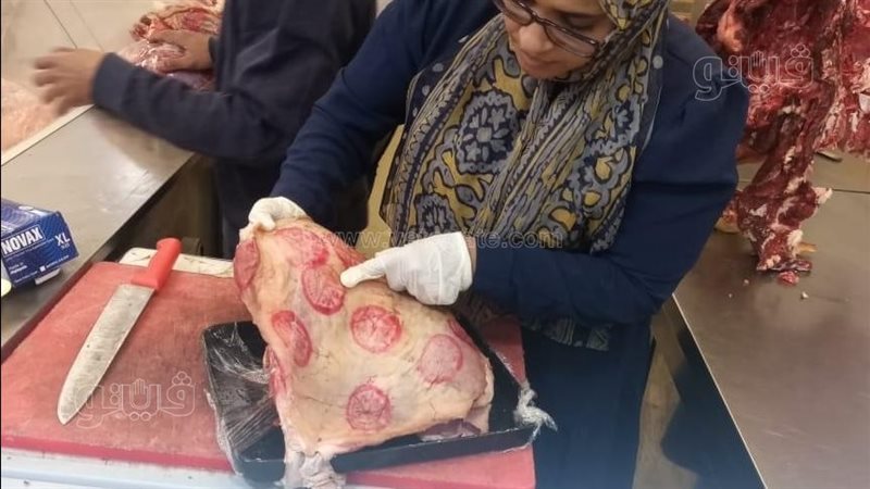 لجنة بيطرية تفحص