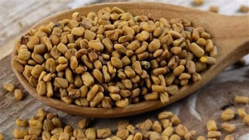 الحلبة وفوائدها،