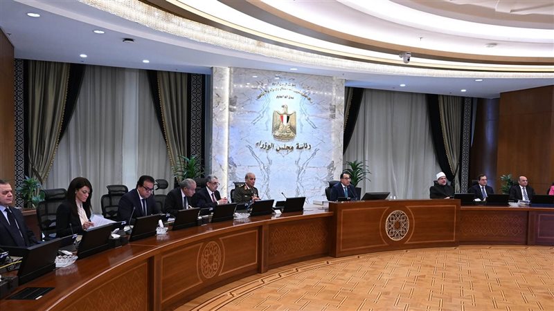 مجلس الوزراء،فيتو