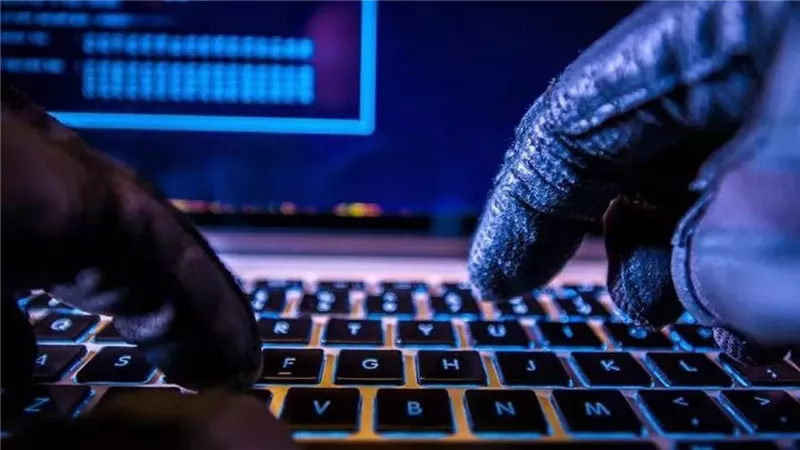 جرائم الإنترنت، فيتو