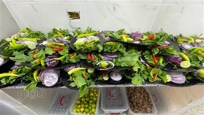 txt