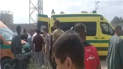 بعد 40 يوما من دفنها، شقيقان وراء مقتل والدتهما بالدقهلية، والسر الزواج العرفي