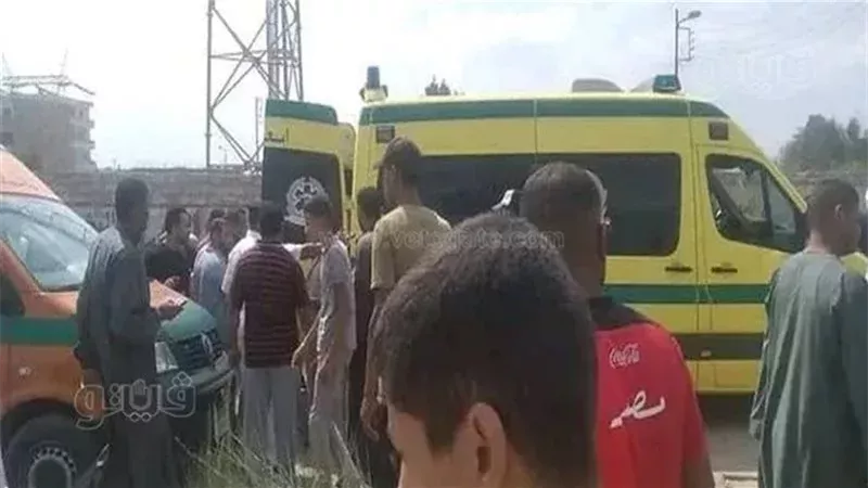 إسعاف، فيتو