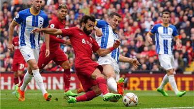 الموعد والقناة الناقلة لمباراة ليفربول وبرايتون في الدوري الإنجليزي