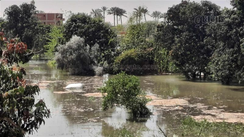 انهيار جسر ترعة السويس