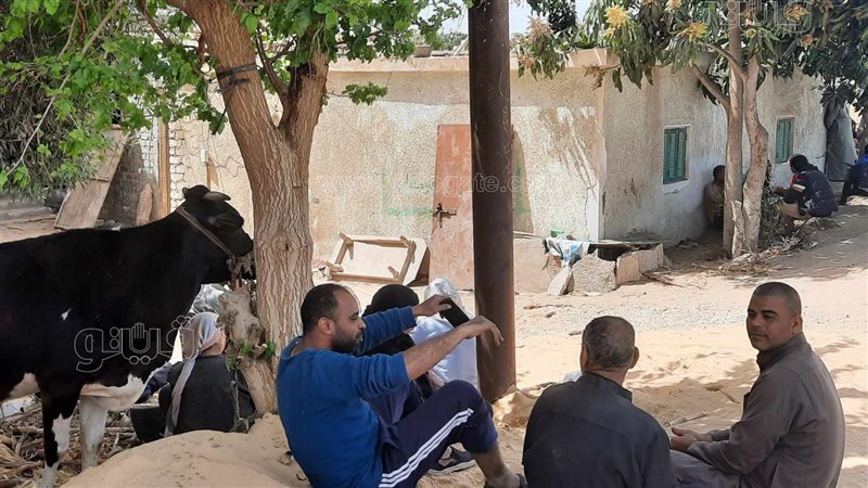 تضرر المنازل بسبب