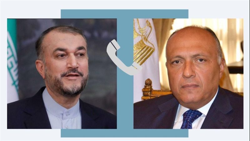 سامح شكرى وزير الخارجية