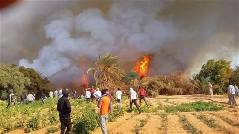 حريق يلتهم مزرعة