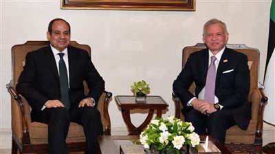 مصر والأردن تشددان على خطورة التصعيد الإسرائيلي غير المبرر