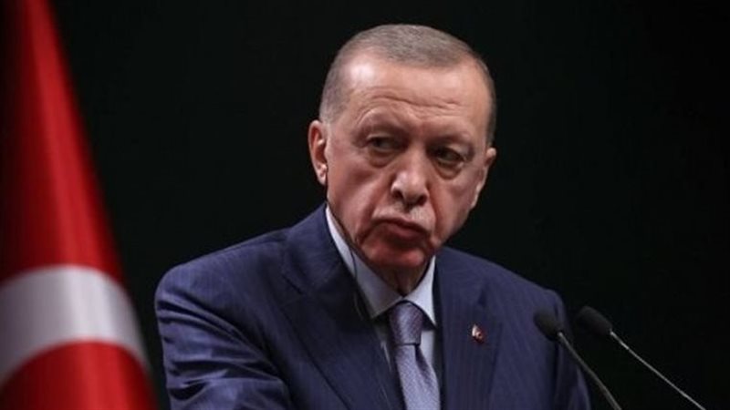 أردوغان، فيتو 