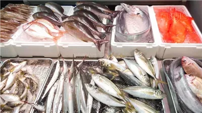 txt