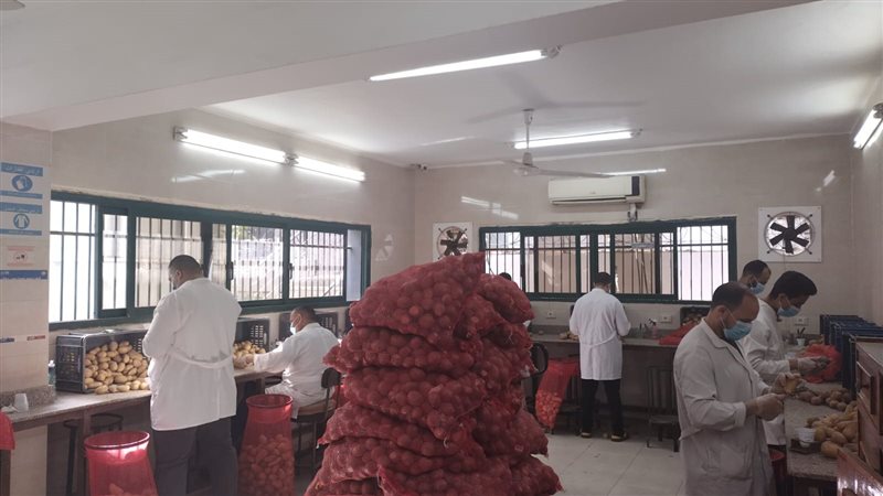 معامل مشروع فحص العفن