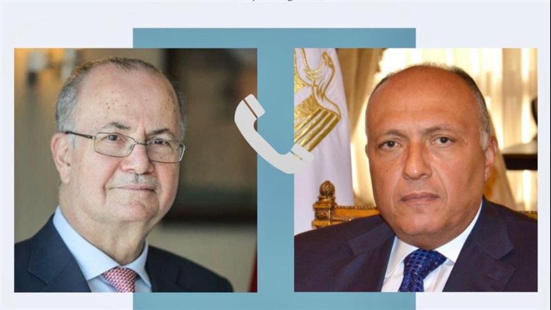 سامح شكرى ورئيس وزراء