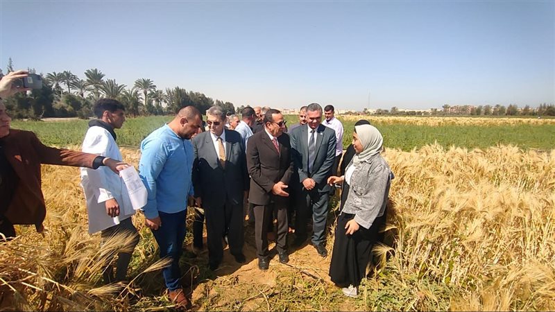 محافظ شمال سيناء،فيتو