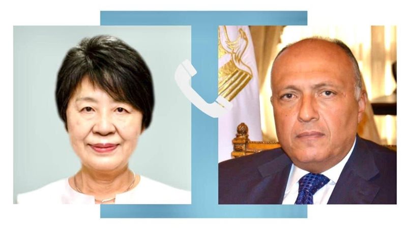 سامح شكرى وزيرة خارجية