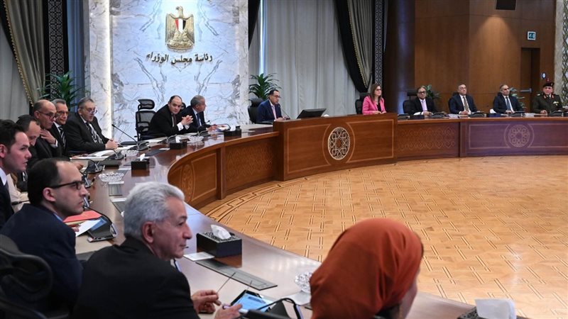 مجلس الوزراء، فيتو