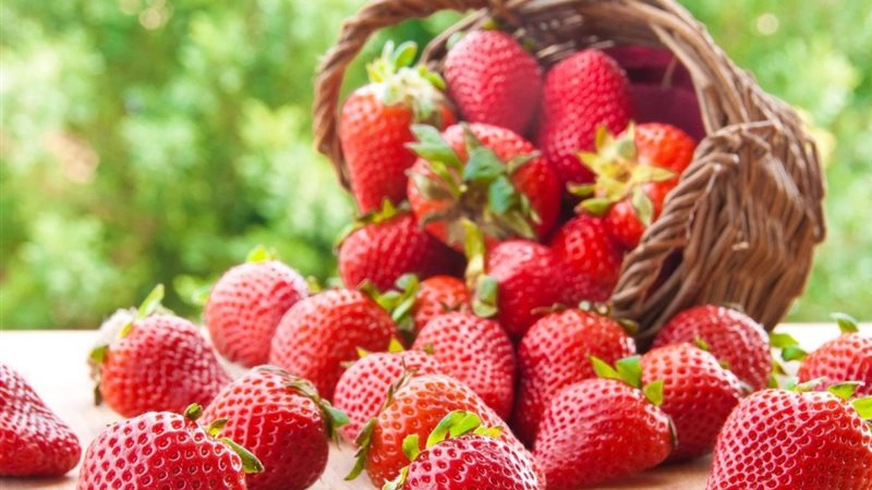 أسعار الفاكهة في