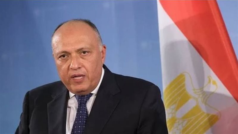 سامح شكري، فيتو
