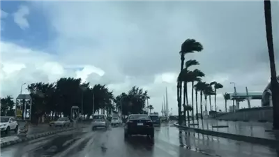  حقيقة تعرض البلاد للعاصفة نهال