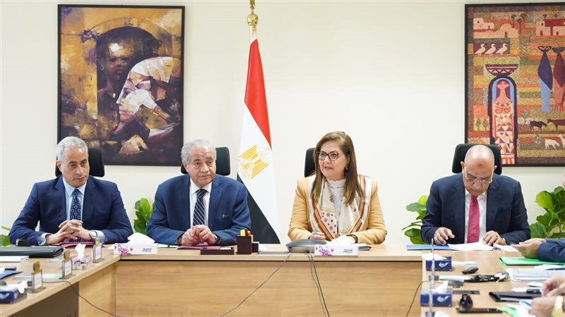 المجلس القومي للأجور،فيتو