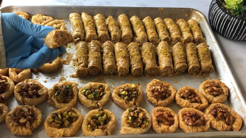 الجلاش المبروم، فيتو