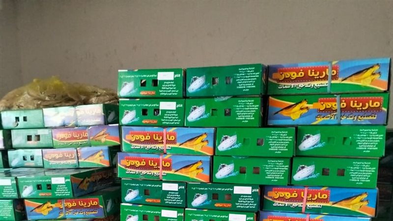 ضبط ١٦ طن رنجة فاسدة