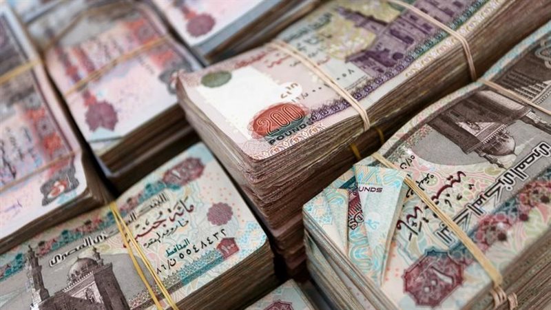 المالية،فيتو