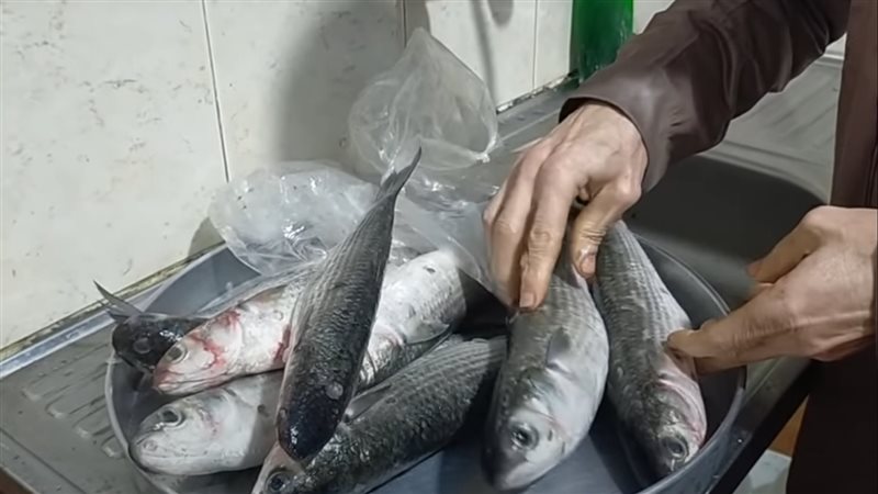الفسيخ بالخطوات،