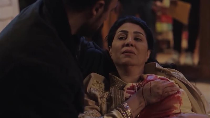 حق عرب، فيتو 