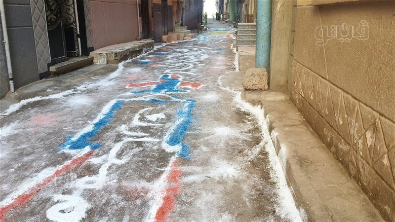 شوارع الدقهلية تتزين،