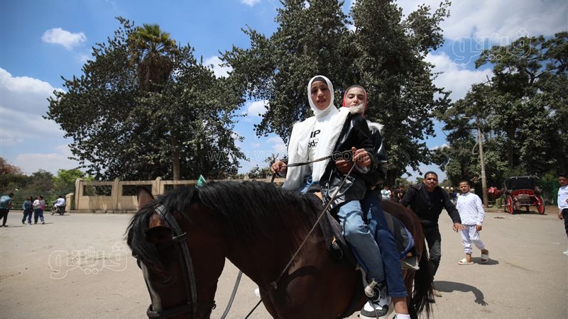 العيد في القناطر،