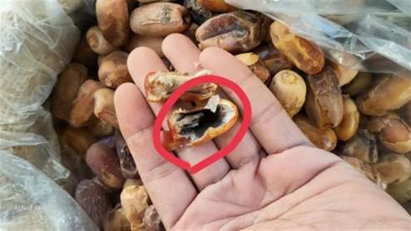 بلح غير صالح للاستهلاك،