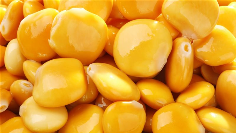 الترمس، فيتو 