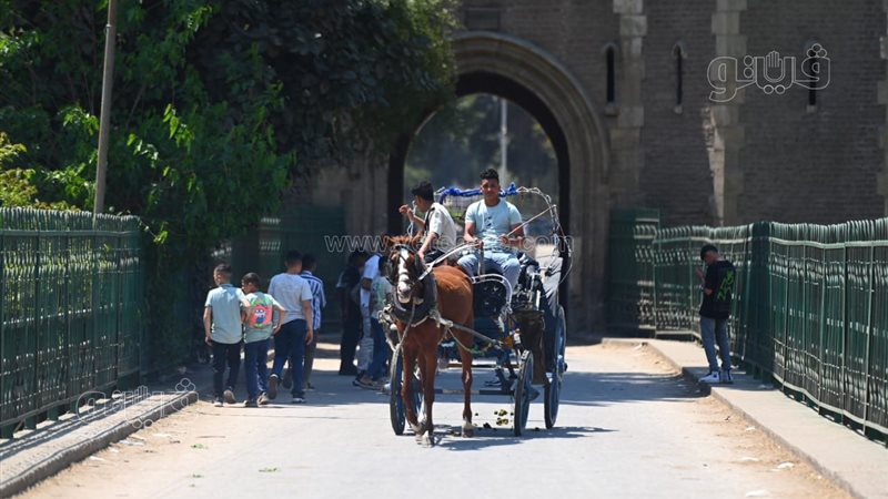فسحة المصريين بالقناطر