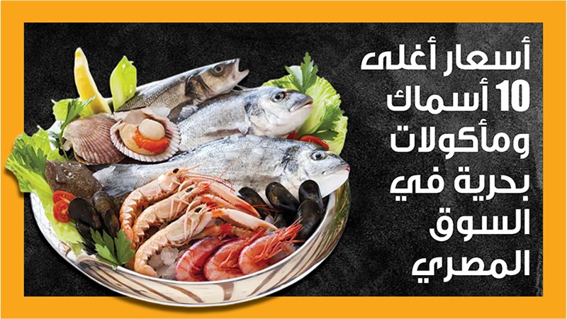 أسعار الأسماك في