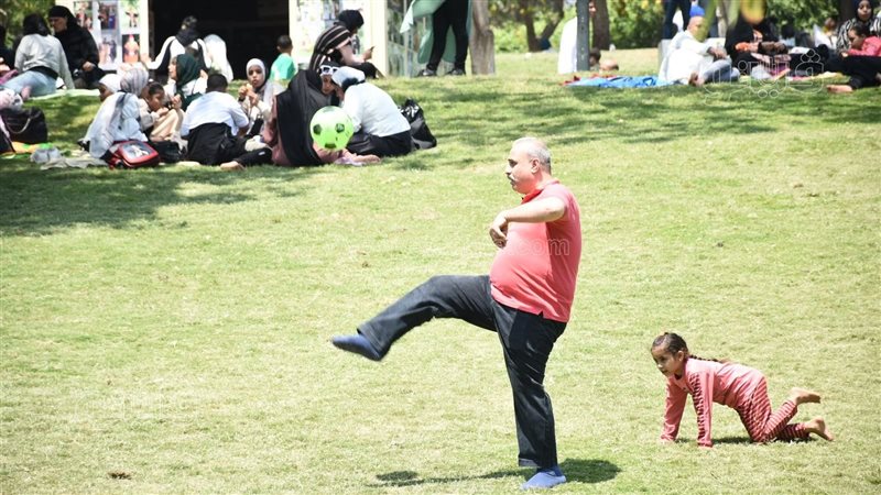 احتفال المصريين بعيد