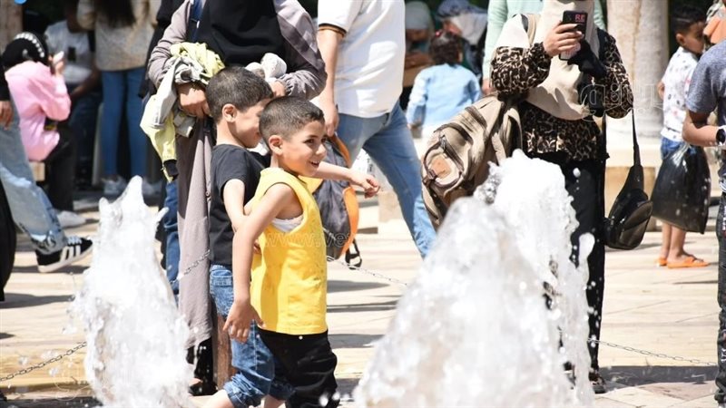 حديقة الأزهر،فيتو