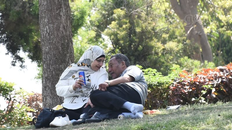 احتفال المصريين بعيد