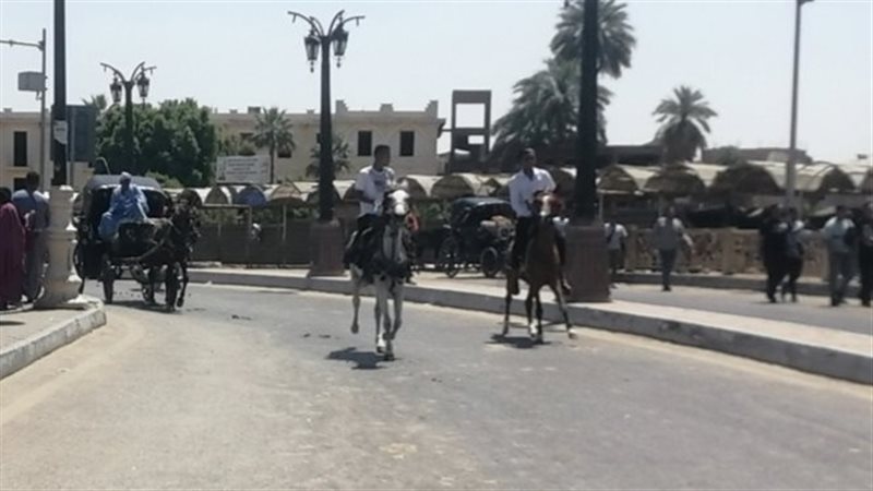 احتفال الشباب بمحافظة