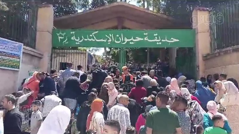 حديقة حيوان الإسكندرية،