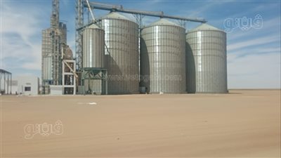 اليوم، انطلاق موسم حصاد القمح فى أسوان